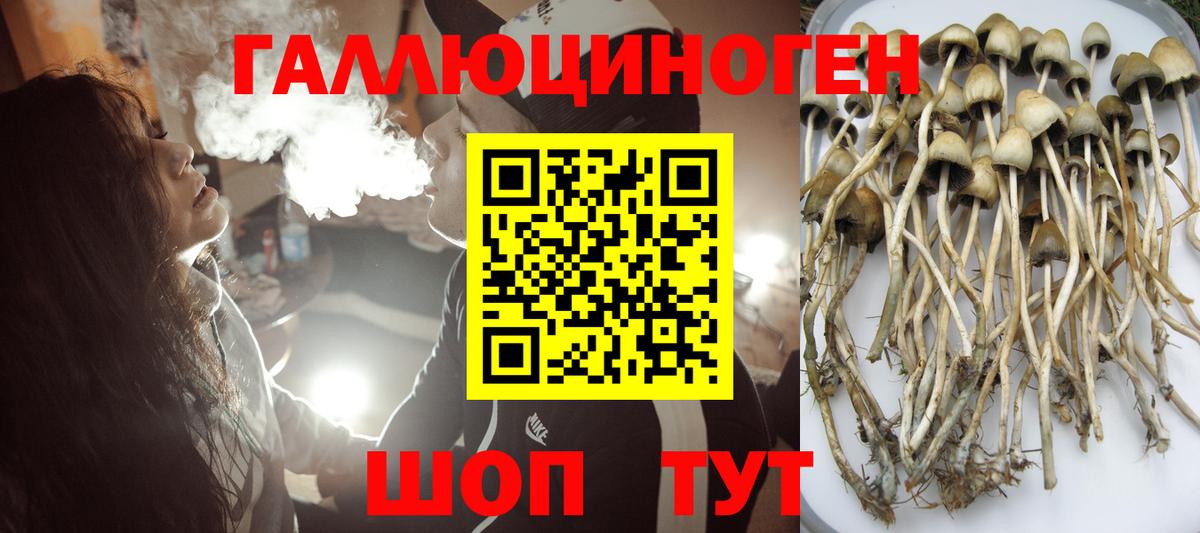 Галлюциногенные грибы мухоморы  Вход с VPN  Омск 