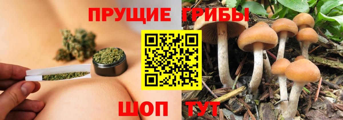 Галлюциногенные грибы GOLDEN TEACHER Омск