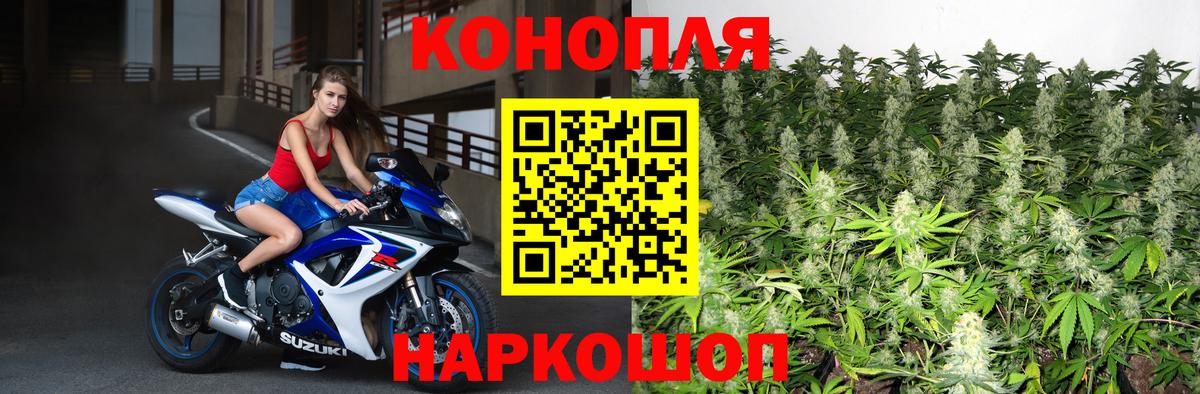 Конопля план Омск